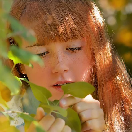 What's Happening This Weekend (October 2-4)