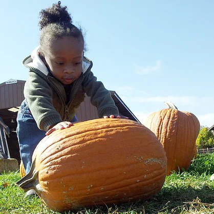 What's Happening This Weekend (October 23-25)