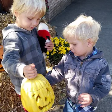 What's Happening This Weekend (October 30-November 1)