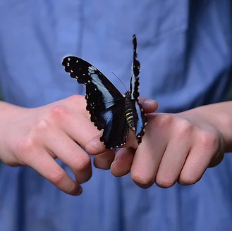 What's Happening This Weekend (November 6-8)