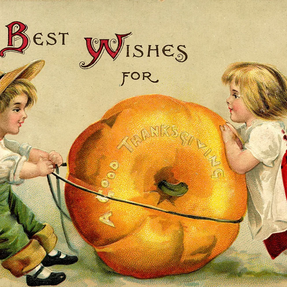 What's Happening This Weekend (November 20-22)