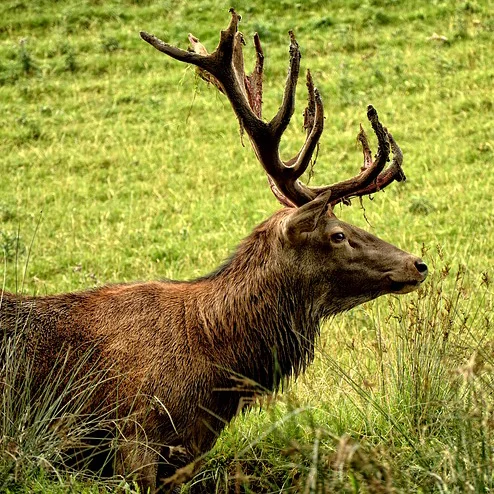 What's Happening This Week (December 4-6)