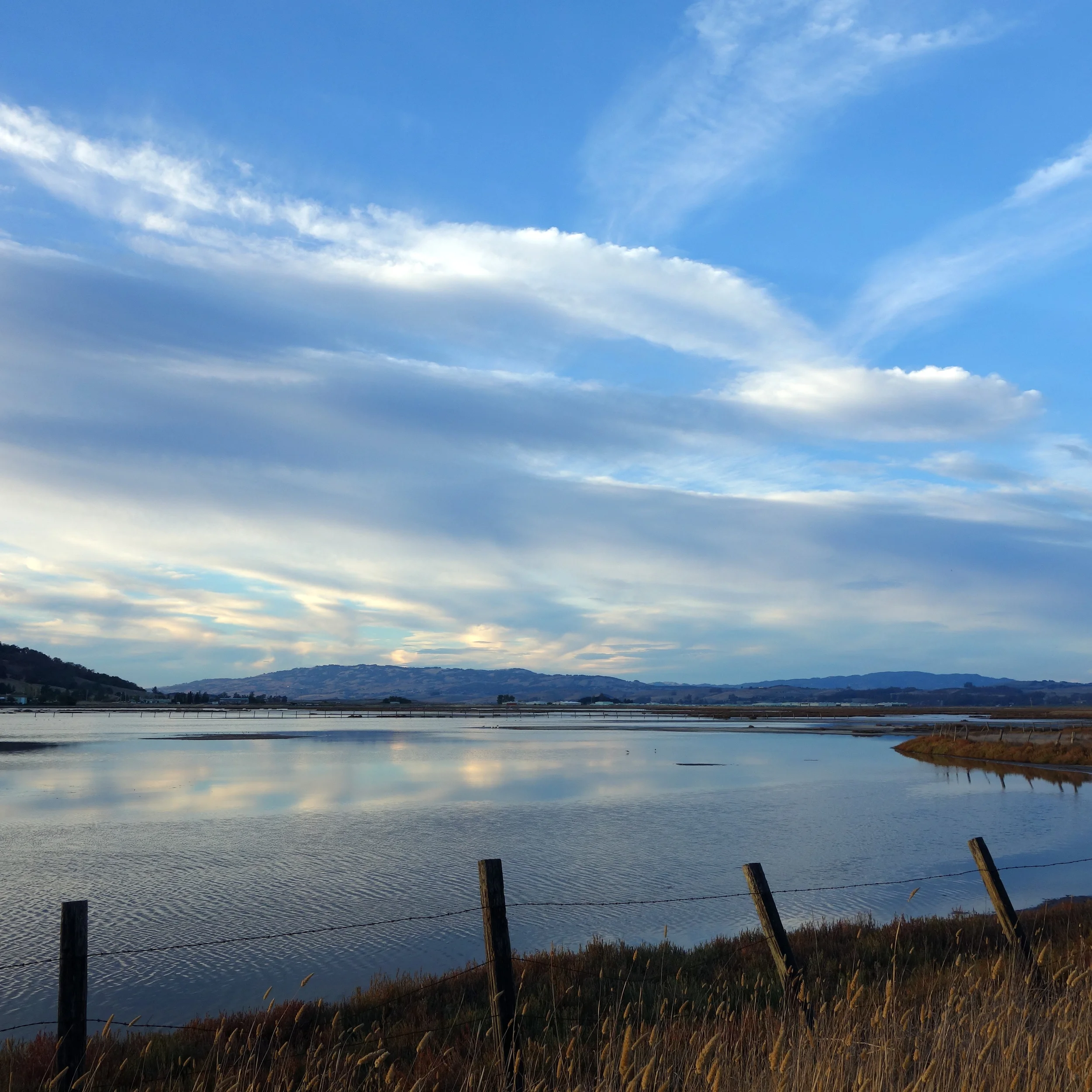 5 Awesome Marin Hikes For Everyone