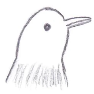 Birding Basics for Beginners