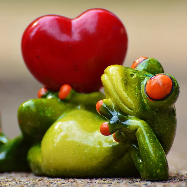 What's Happening This Weekend (February 12-14)