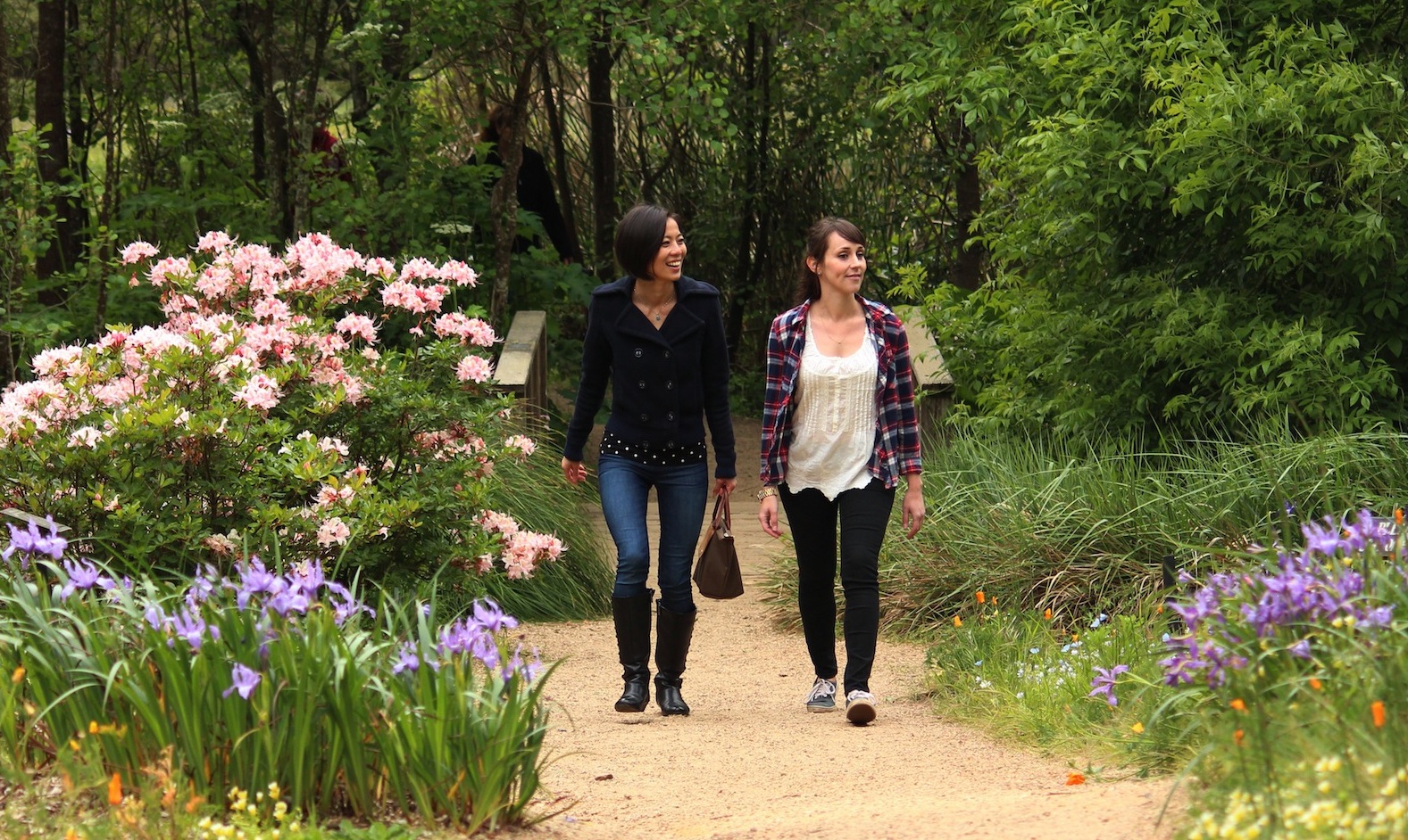  Garden of California Native Plants,&nbsp;Travis Lange 