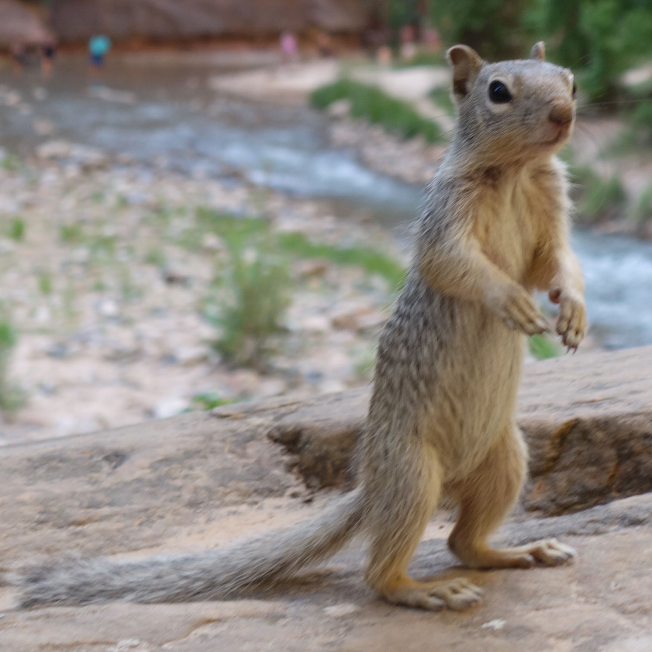National Park Week is April 21–29