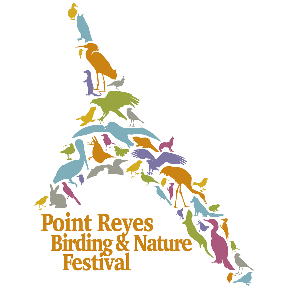 Bird Is The Word At The Point Reyes Birding &amp; Nature Festival