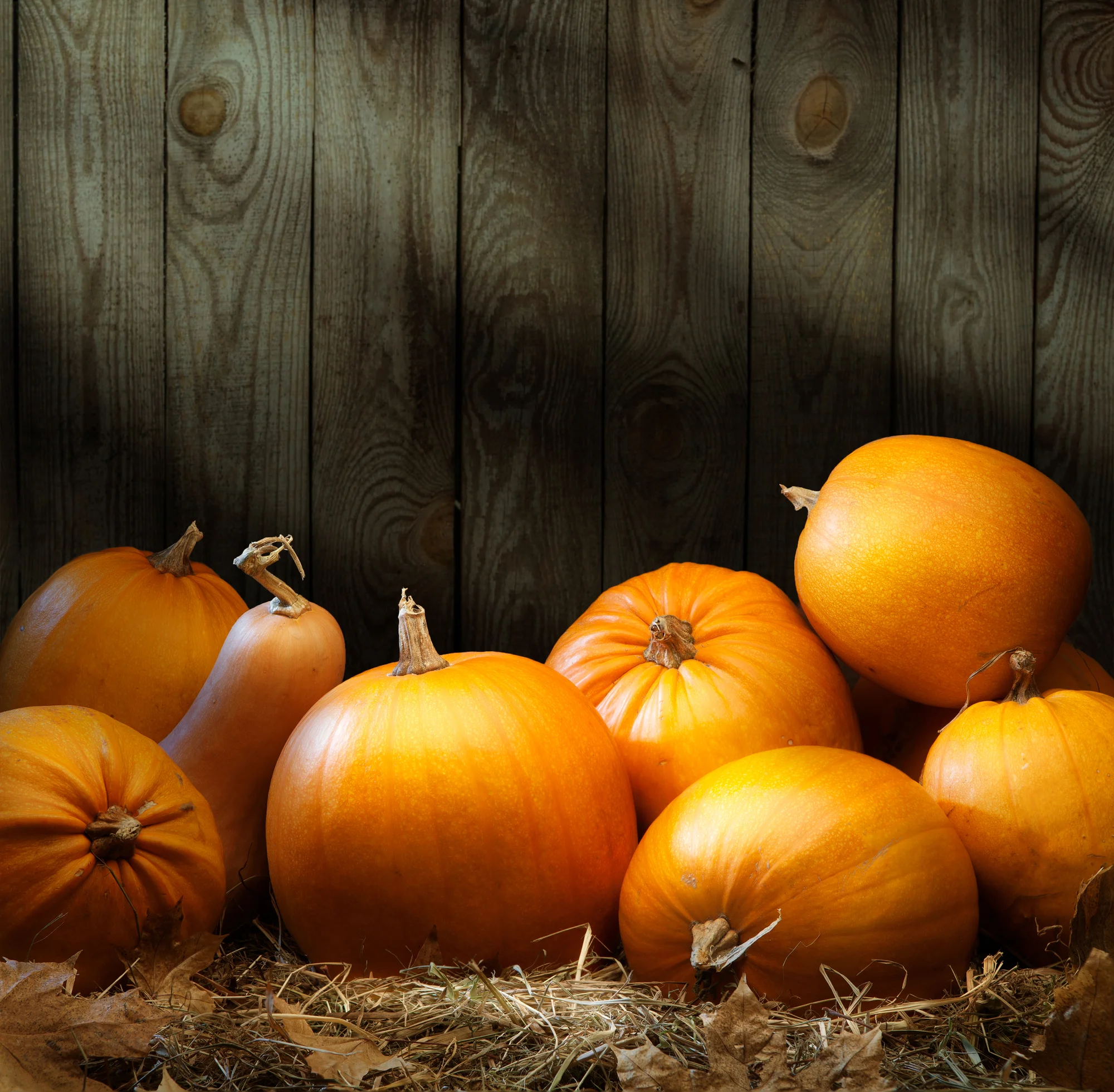 3 Pumpkin Recipes Kids Will Love