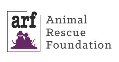 Bay Area Pet Fair - The Largest Gathering of Adoptable Animals in ...