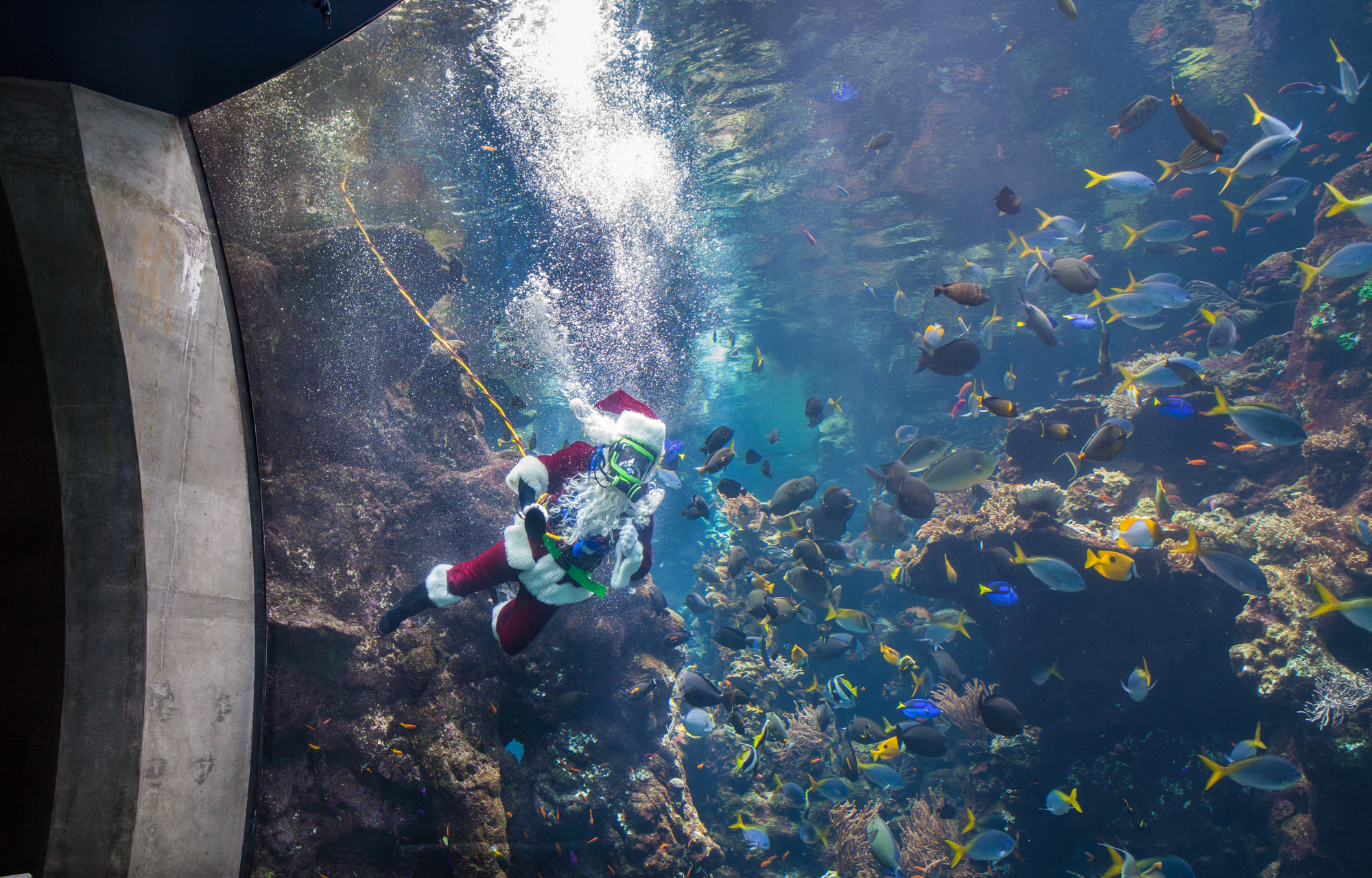 Scuba Santa and presenter_Kathryn Whitney_CAS.jpg