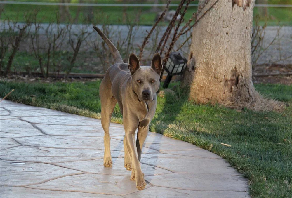 IMG_7755 (Medium).jpg