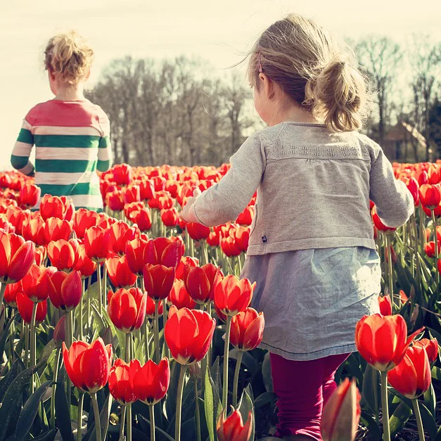 Weekend Fun For Everyone (February 24-26)