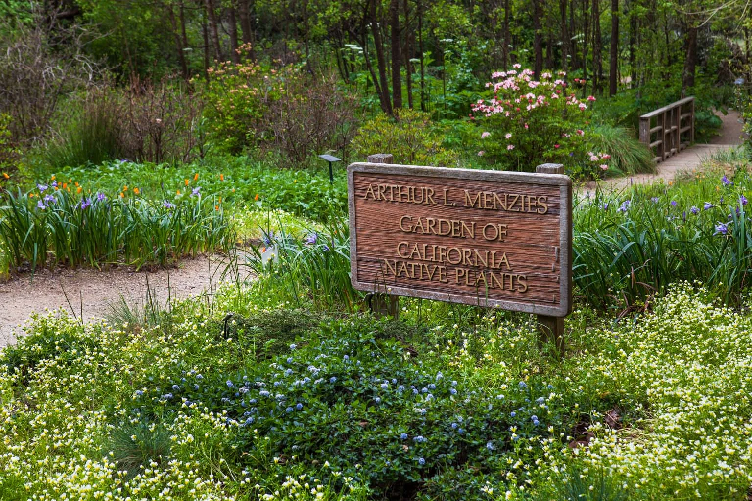 CA Native Garden Native Garden Entry Saxon Holt