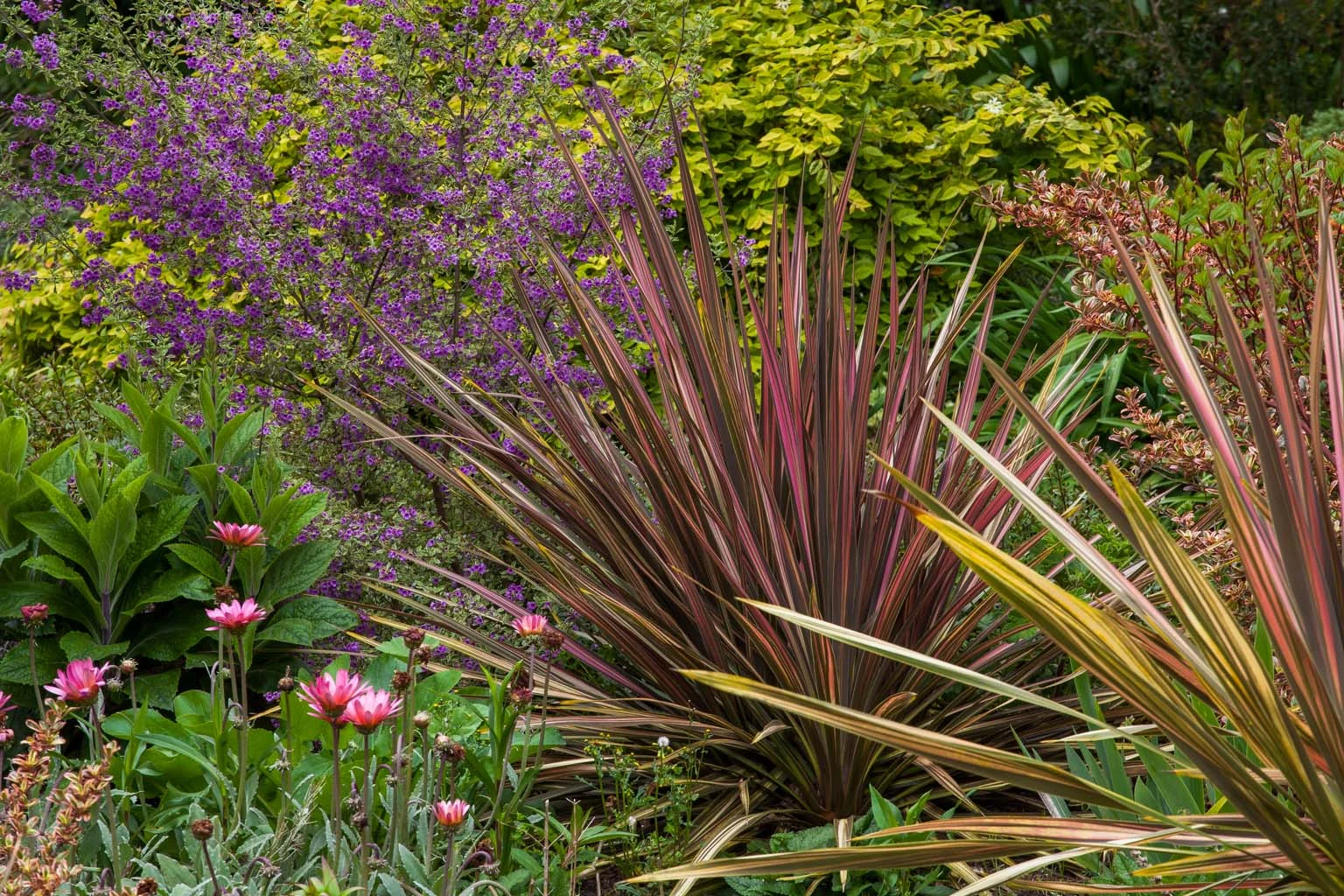Zellerbach Garden of Perennials Saxon Holt