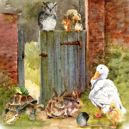 "Jemima Puddle-Duck and Peter Rabbit"