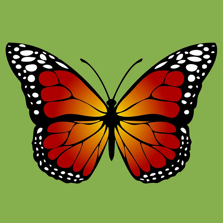 Garden Faire at Edna Maguire Elementary School 