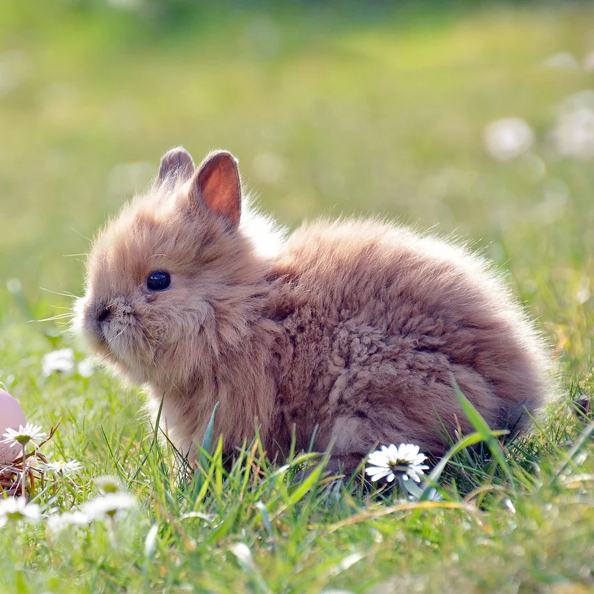 Happy Easter: Weekend Fun For Everyone