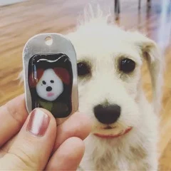 Fire Up the Kiln and Get Glassy at I Made It Glass, Creations! 