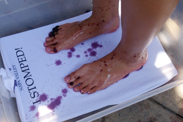 grapestomping-20.jpeg