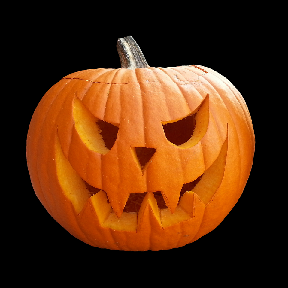 Not-So-Spooky Halloween Books From BOOK PASSAGE