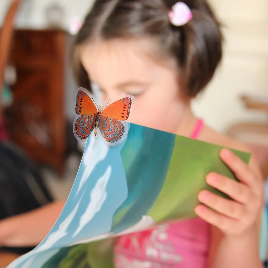 Windows & Mirrors: A Collection of Diverse Literature