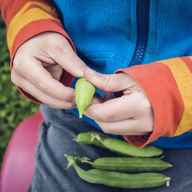 Weekend Fun For Everyone - Happy Thanksgiving!