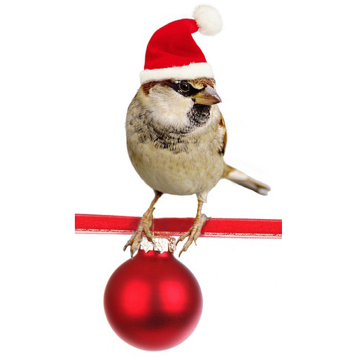 BLOWOUT SALE FUNDRAISER: All Holiday Decorations ONLY $2