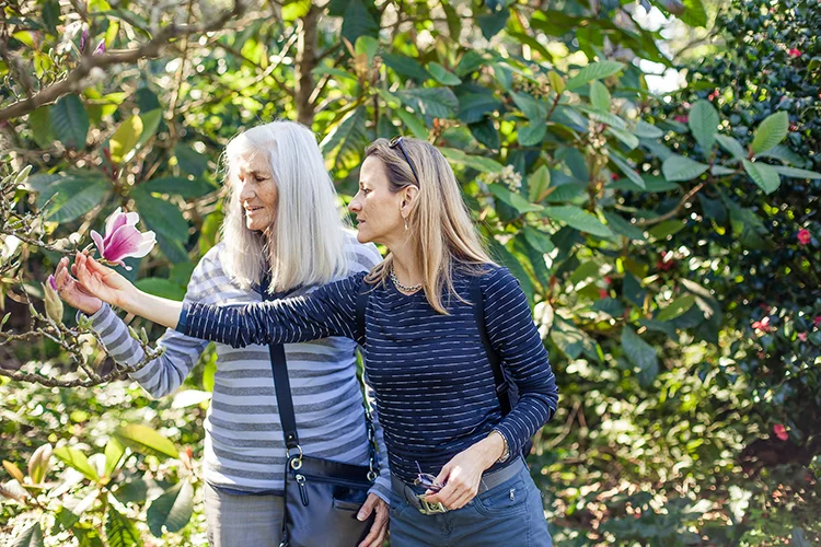 Visitors admire a magnolia flower  Kathryn Rummel 