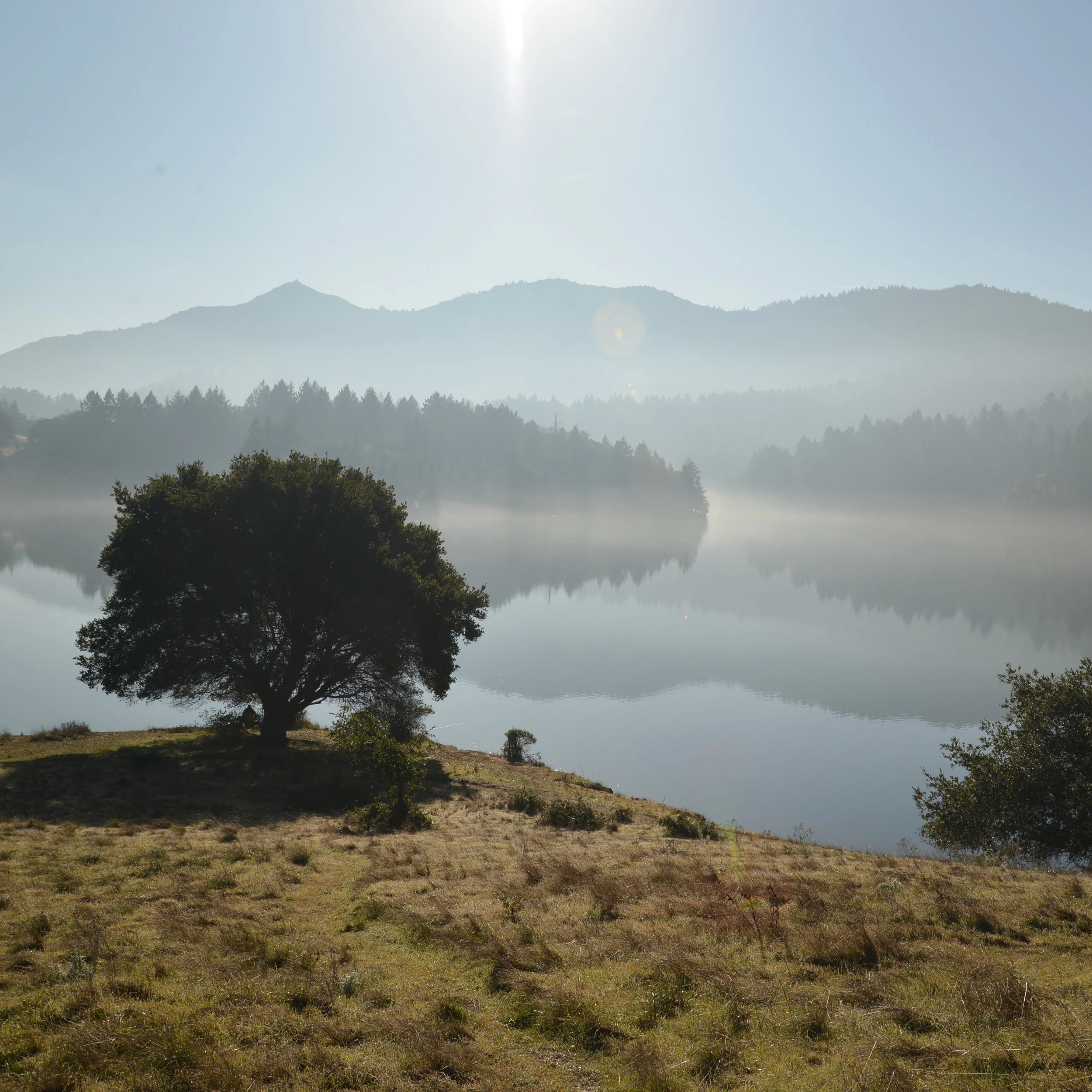 25 Hidden Gems in Marin to Explore (and where to find them)