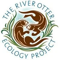The River Otter Ecology Project