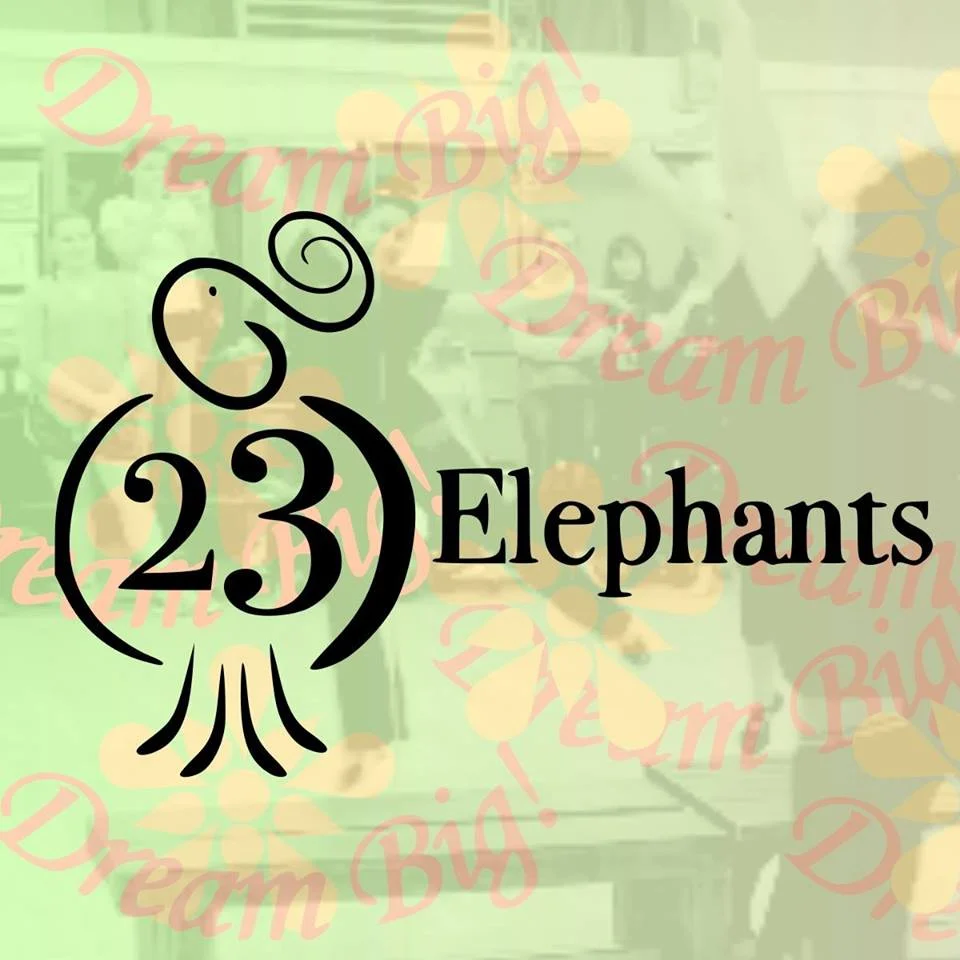 23 Elephants
