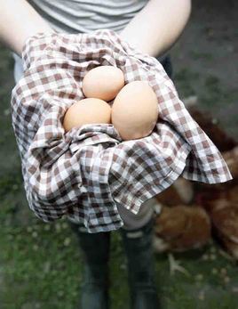 girl with eggs 800px.jpg