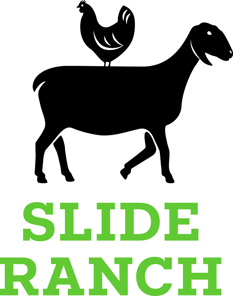 Volunteers Needed for Slide Ranch's biggest farm event of the year!