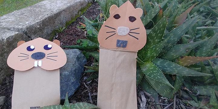 Creative Family Fun - Gophers Galore!