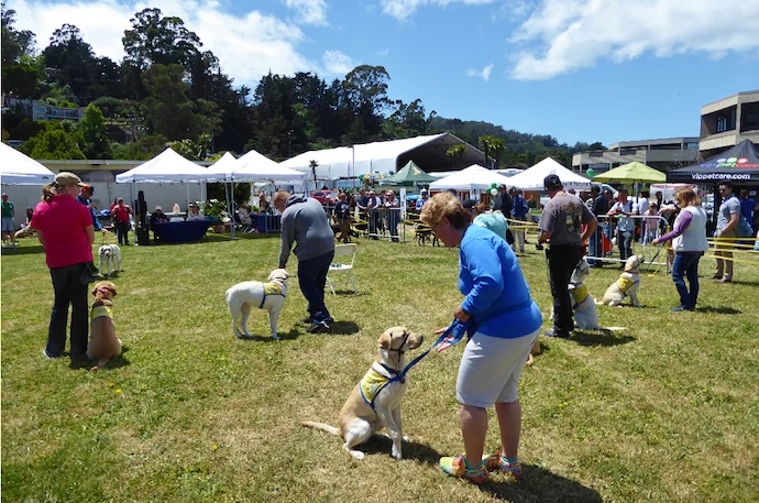 WAG Dog Festival