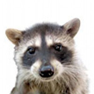Family Nature Day Honoring Elizabeth Terwilliger