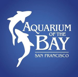 Earth Day Beach Clean Up