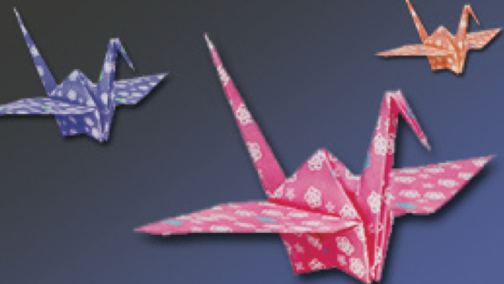 Origami-Palooza & The Great Paper Airplane Contest