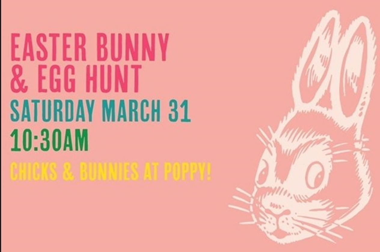 Easter Bunny & Egg Hunt