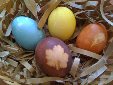 Naturally Dyed Eggs: Afternoon Session Workshop
