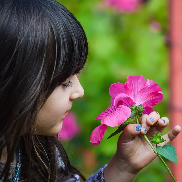 Cultivating Kids Curiosity At These 6 Plant Sale