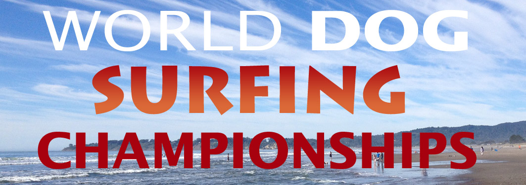 Dog Surfing Championships