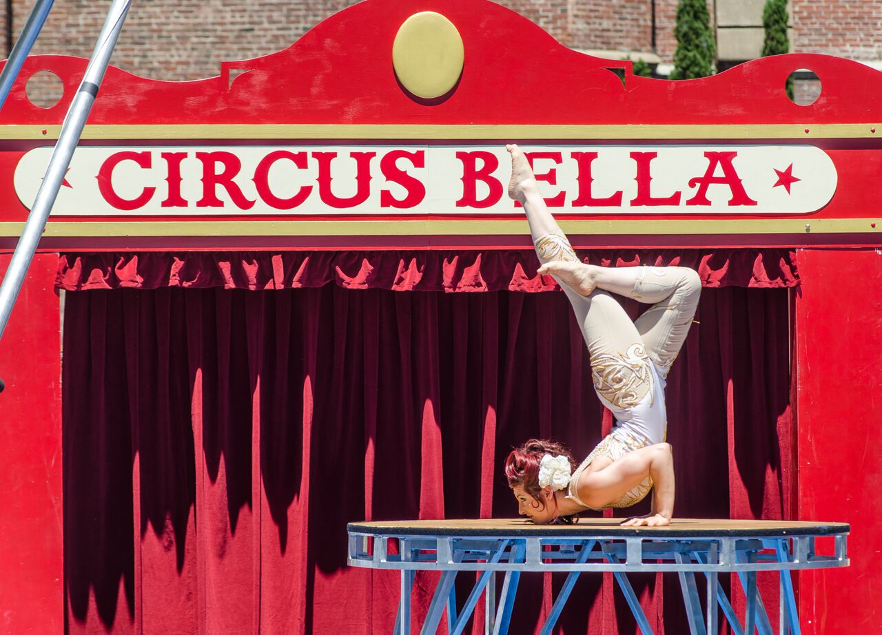 CircusBella2_preview.jpeg