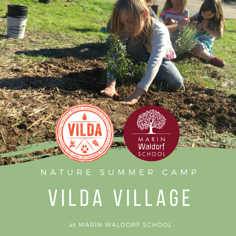 Waldorf Summer Camp