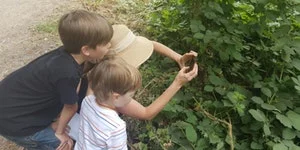 Noe Valley Bioblitz with SF Public Library and Bay Nature