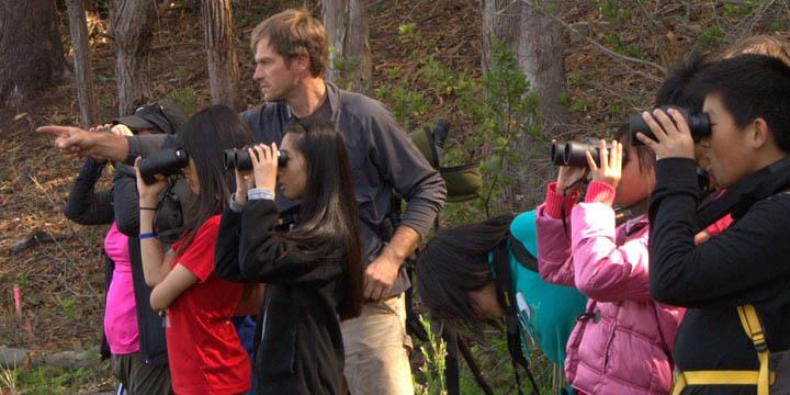 Presidio Nature Challenge