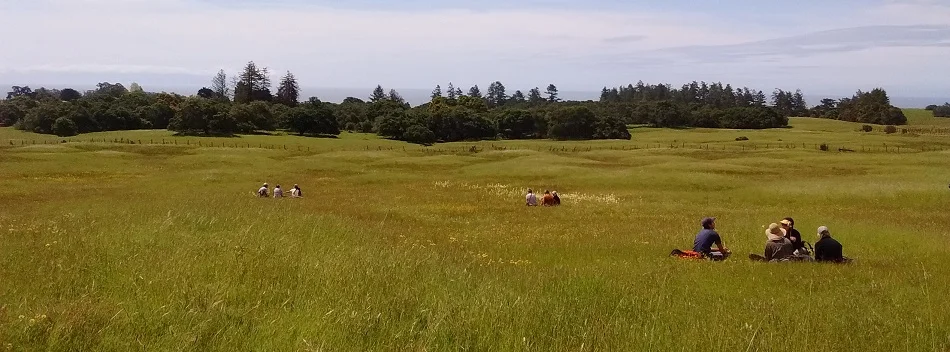 UCSC Bioblitz 2018