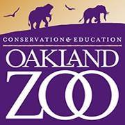 Zoo Camps