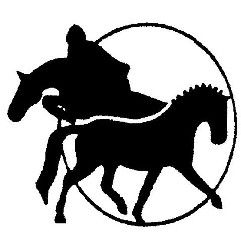 Morning Star Farm Horsemanship